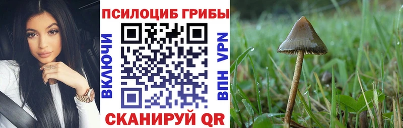 Галлюциногенные грибы Cubensis  где купить наркоту  ссылка на мегу ТОР  Вуктыл 